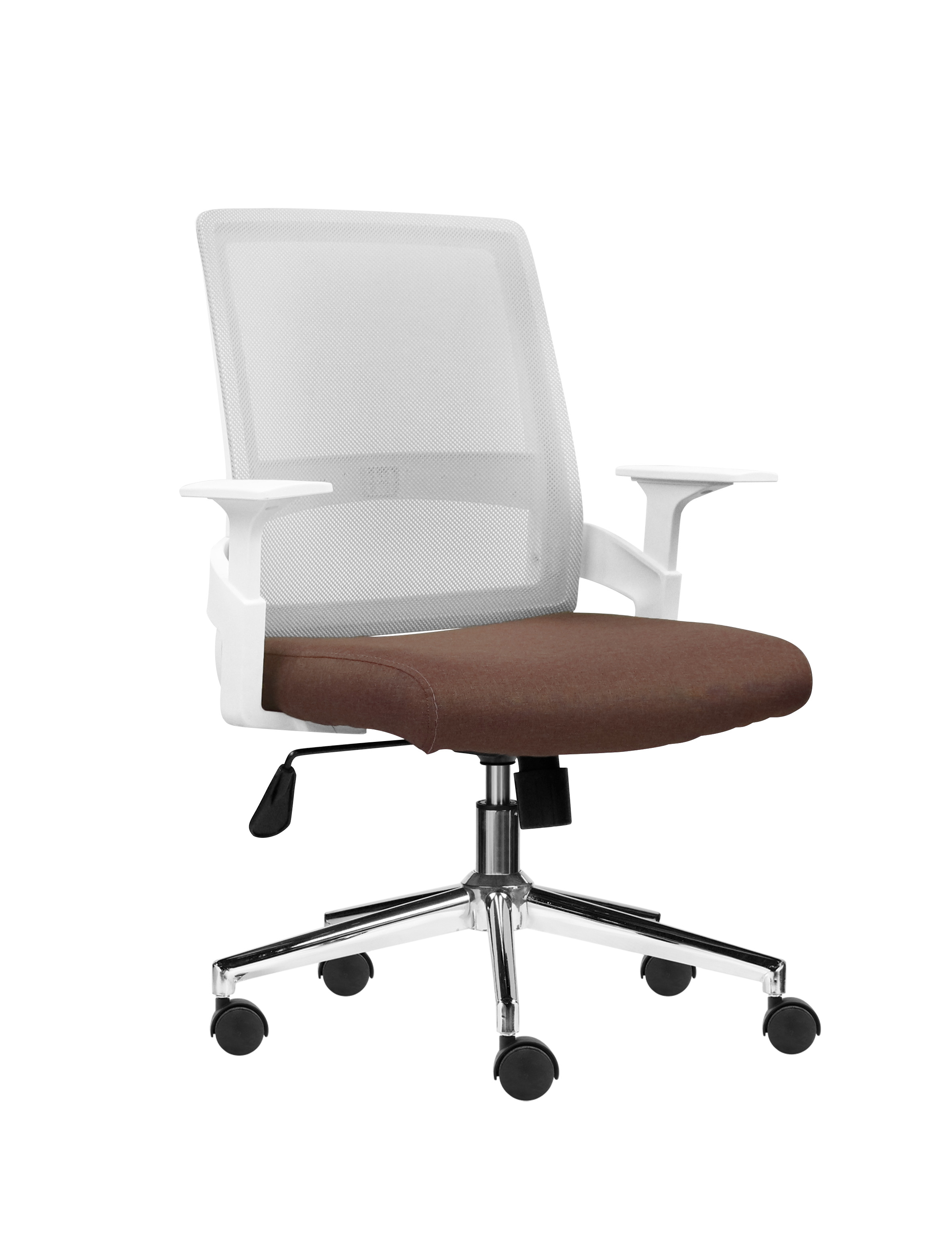 Bộ Sưu Tập Modern